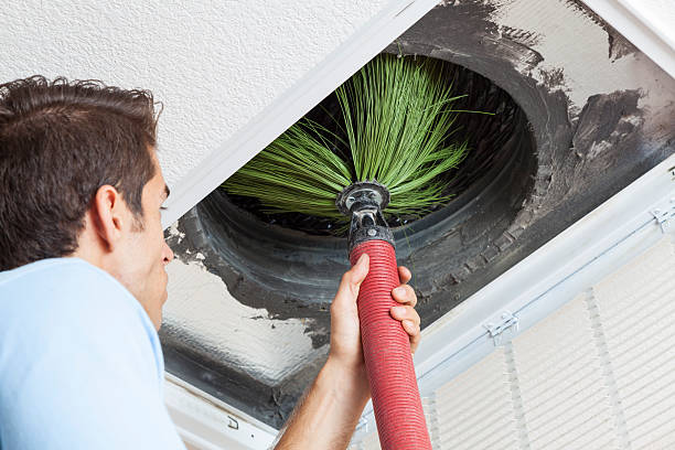 Best Air Duct Mold Removal  in New Miami, OH